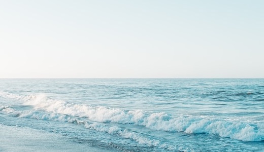 やりたいことリスト