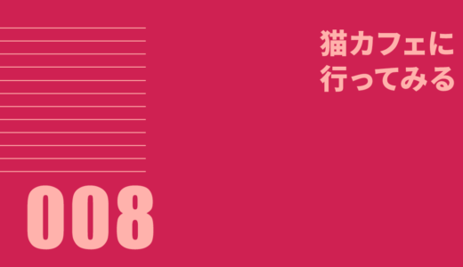 008 猫カフェに行ってみる